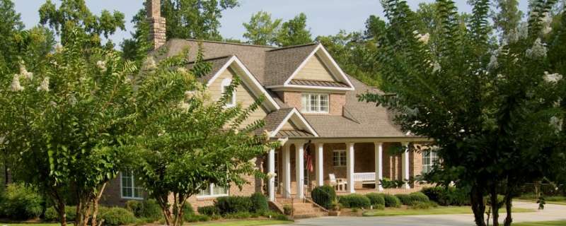 Luxury Landscaping Survey