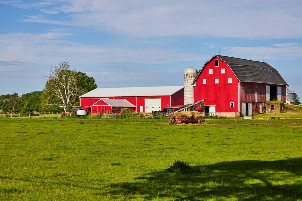 Barn Cleanout: Essential Steps for an Organized Space