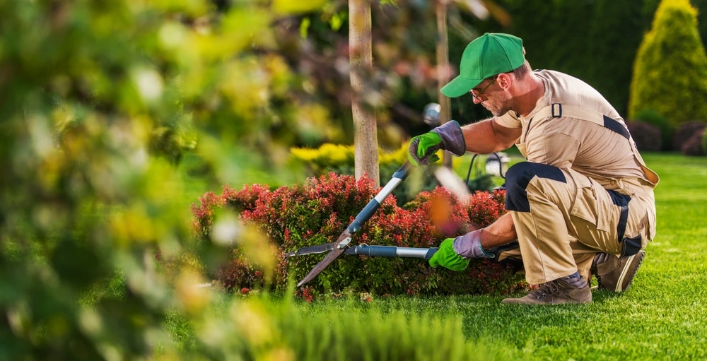 Choosing a Dumpster Rental for Landscape Contractors: Essential Tips and Considerations
