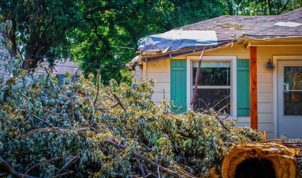 Cleaning Up After Storm Damage: Essential Steps for Homeowners