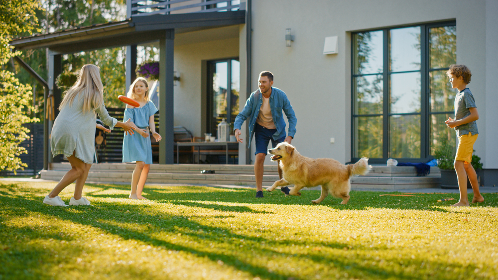Dog-Friendly Backyard Ideas on a Budget: Transform Your Space Affordably