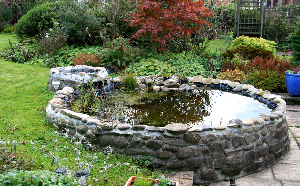 Efficient Waste Disposal for a DIY Pond Build: Essential Strategies