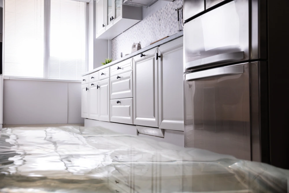 Flood Damage Clean Up: Essential Steps for Safe Restoration
