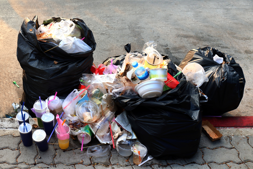 How Much Waste Does a Human Produce Per Day?
