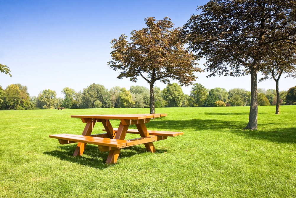 How to Build a DIY Picnic Table: Simple Steps for Outdoor Fun