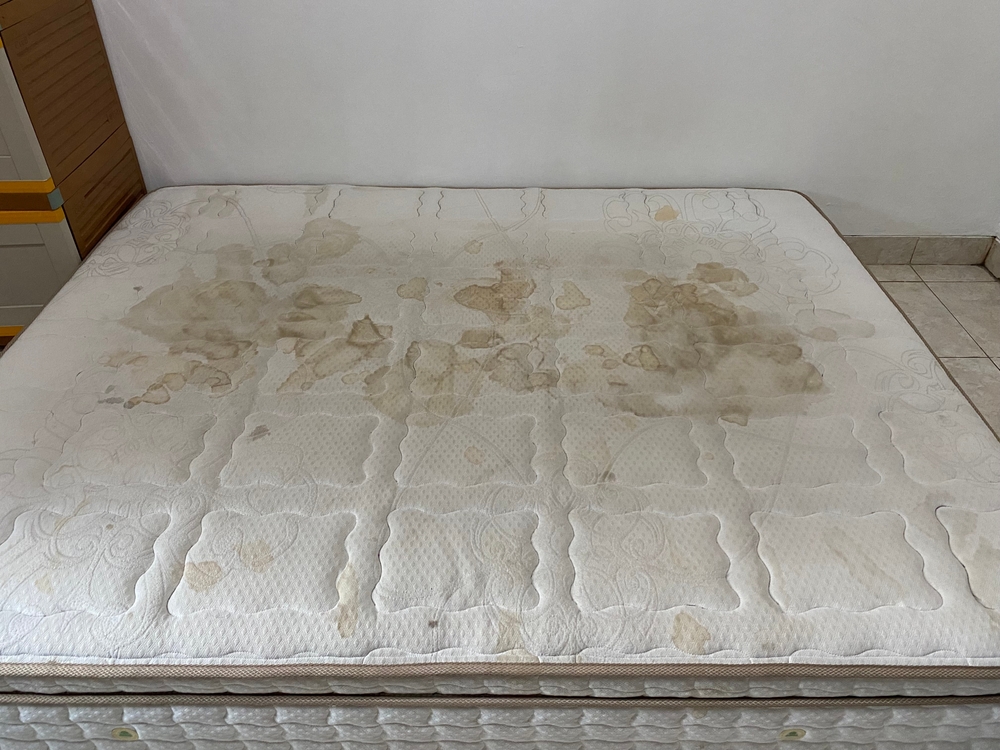 How to Cut Up a Mattress: A Step-by-Step Guide