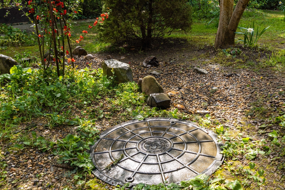 How to Remove Gravel from Your Yard: A Step-by-Step Guide