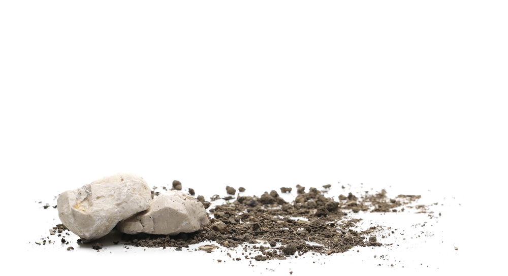 How to Remove Rocks from Soil: Efficient Techniques for a Clear Garden