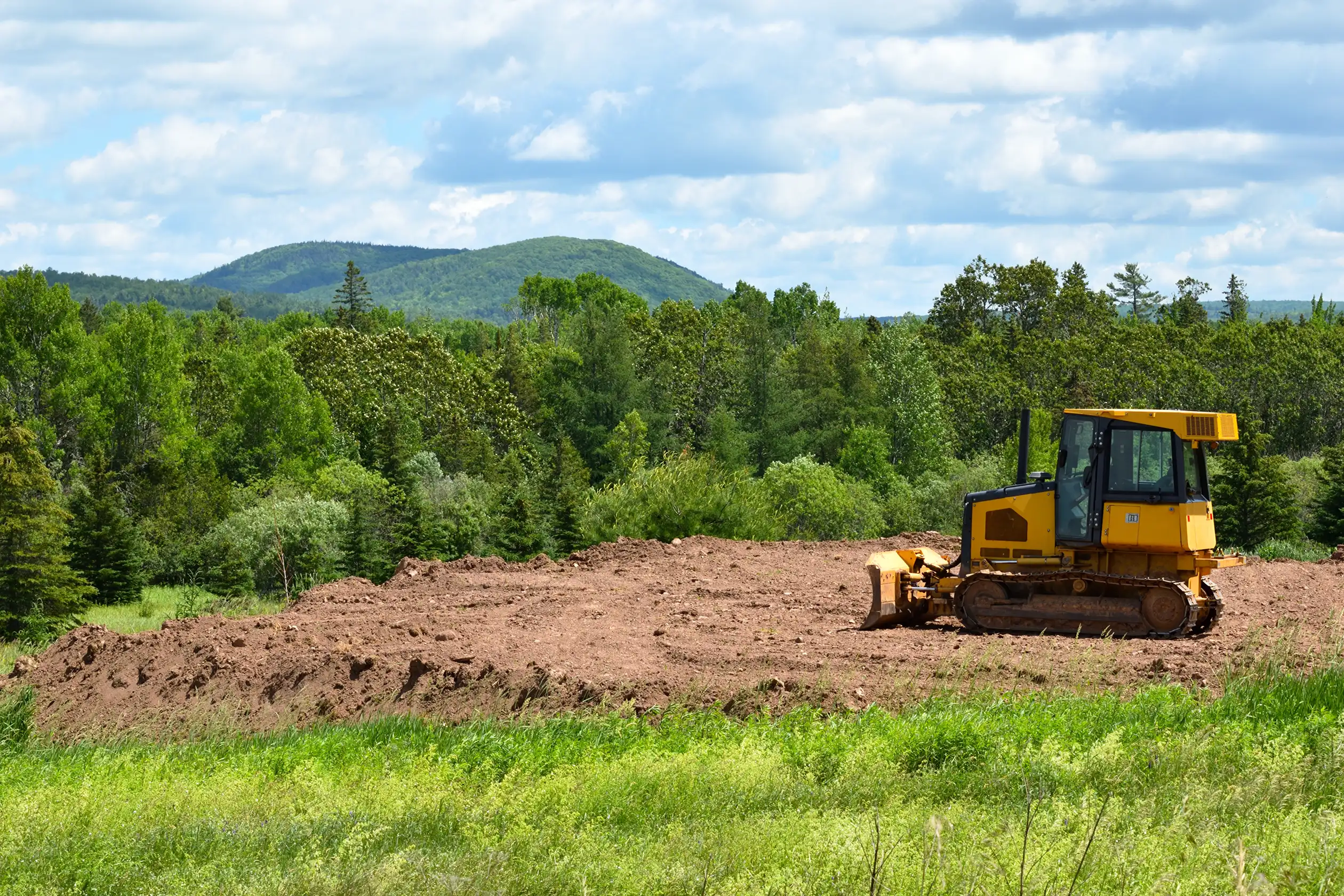 Land Clearing Essentials: Techniques and Environmental Considerations