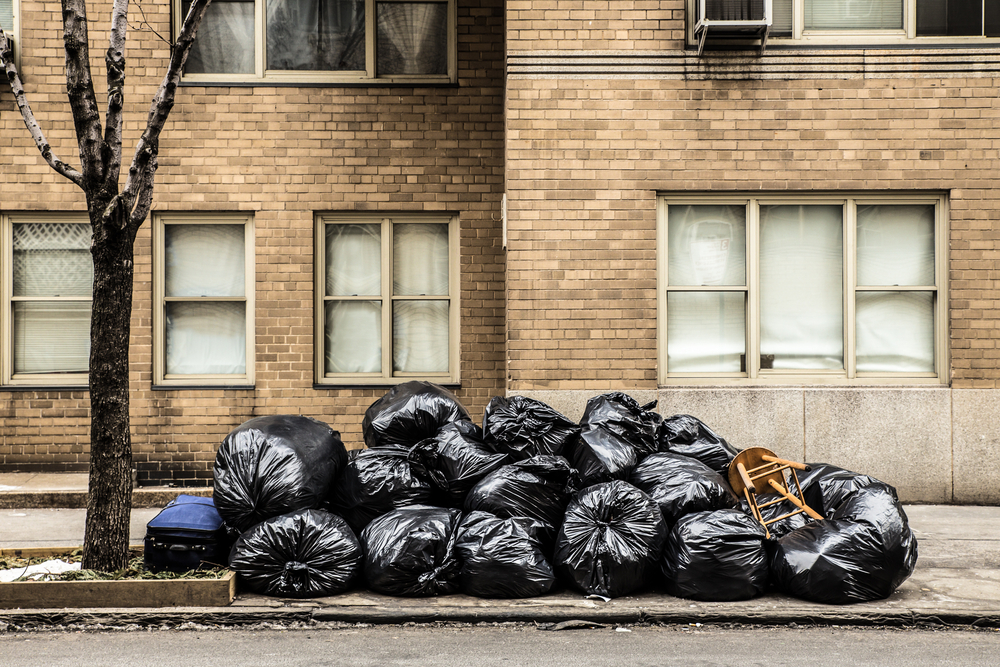 My Trash Wasn’t Picked Up: Understanding Collection Issues and Solutions