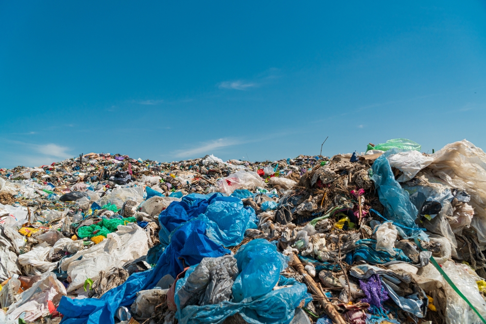 Nashville Dump: Essential Information on Waste Management Solutions