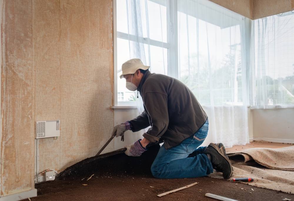 Pulling Up Carpet: A Step-by-Step Guide for Homeowners