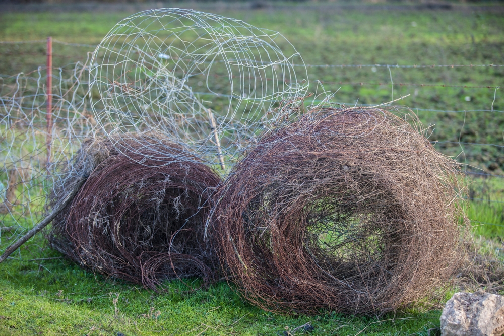 Removing a Chain Link Fence: A Step-by-Step Guide
