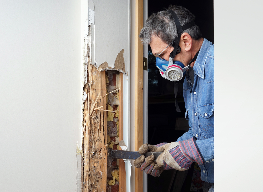 Repairing Termite Damage: Essential Steps for Home Restoration
