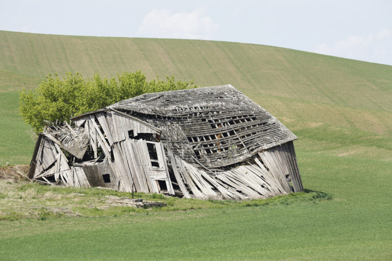 Shed Demolition and Removal: Your Step-by-Step Guide to Clearing Space Efficiently