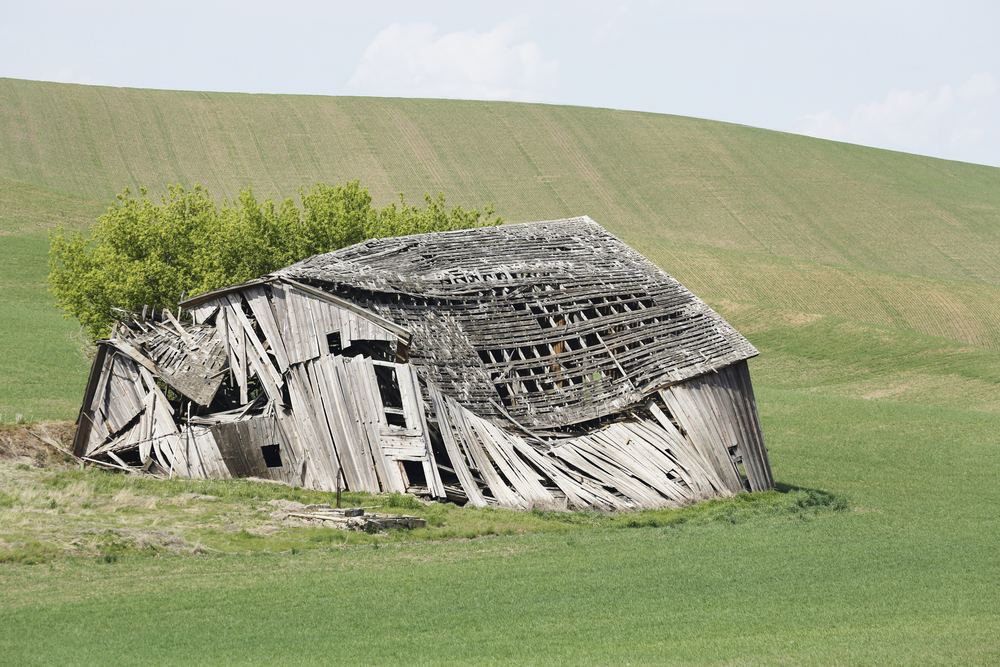 Shed Demolition and Removal: Your Step-by-Step Guide to Clearing Space Efficiently
