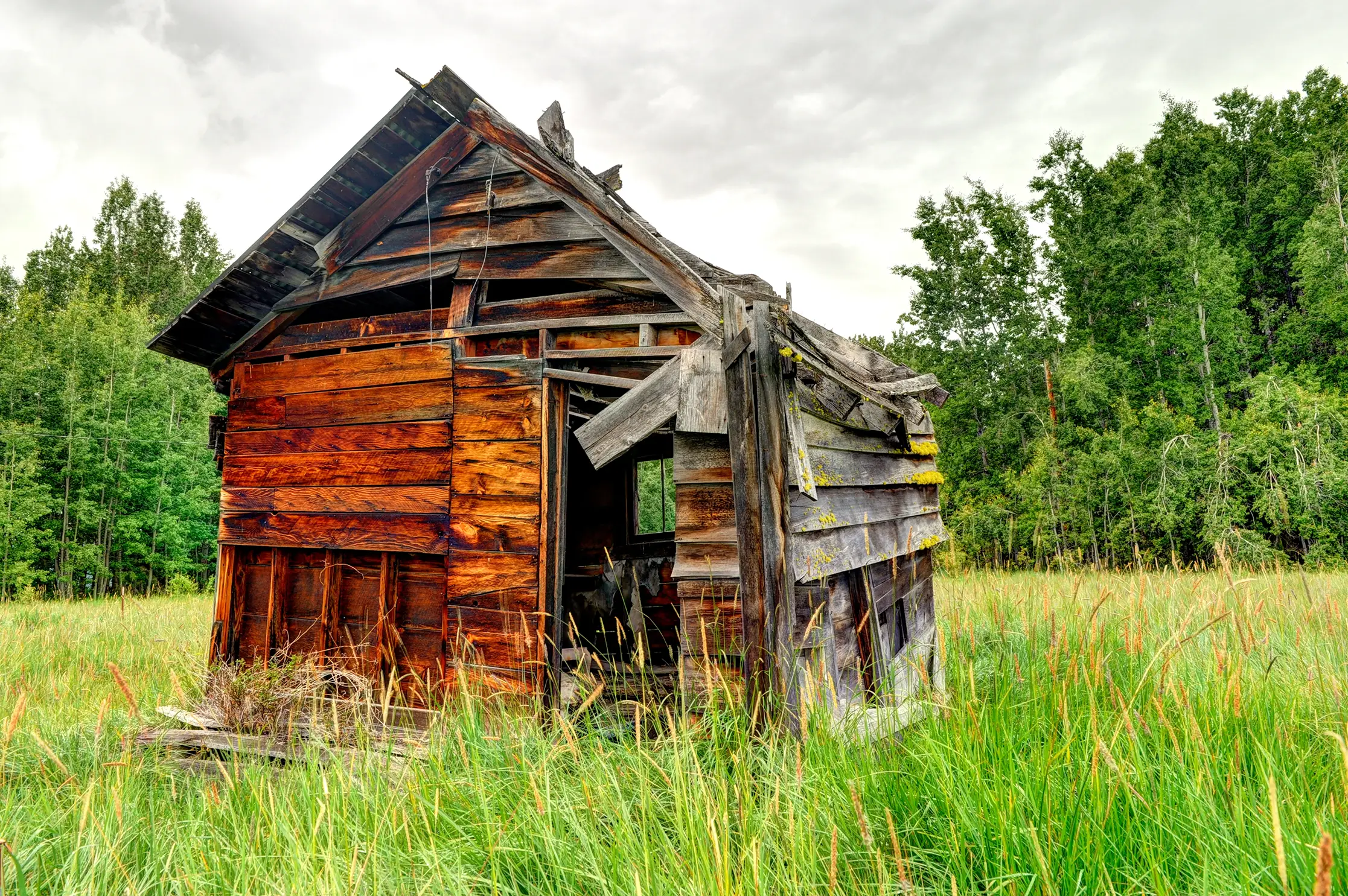 Shed Removal: A Guide to Safe and Efficient Shed Dismantling