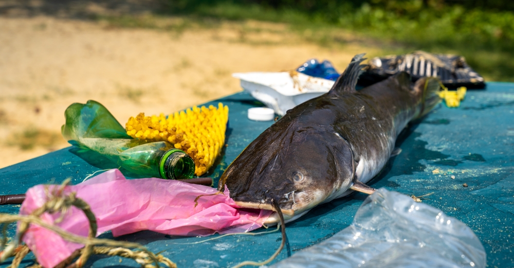 The Impact of Waste on Wildlife: How Pollution Threatens Biodiversity