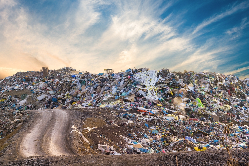 What Happens to Trash in Landfills? Environmental Impacts and Processes