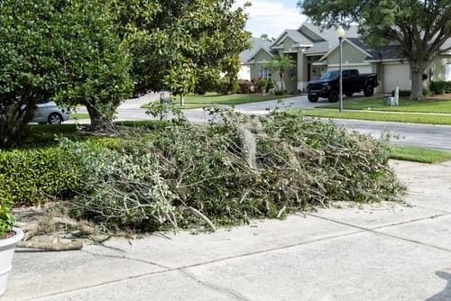 Yard Debris Removal: Essential Tips for a Clean and Tidy Outdoor Space