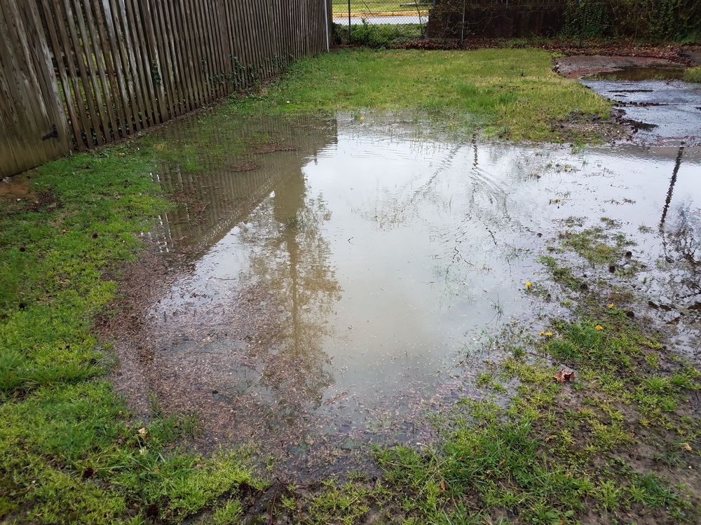 Yard Drainage Solutions Do It Yourself: Easy Techniques for Homeowners