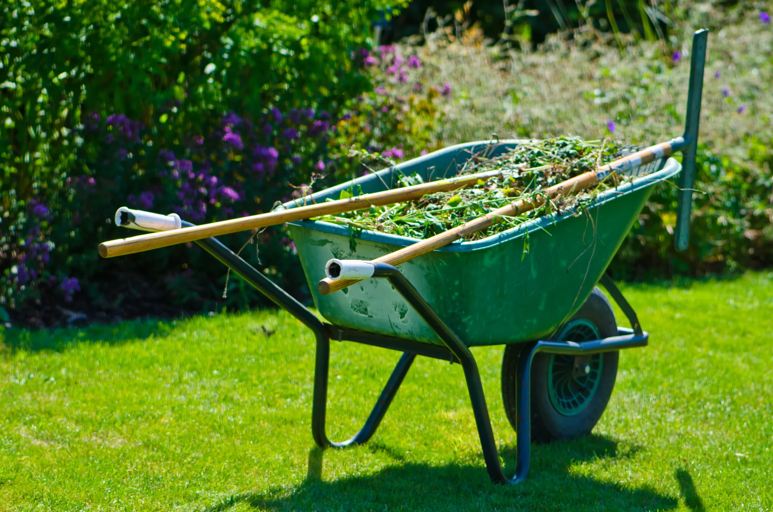 Yard Maintenance Checklist: Seasonal Upkeep for a Pristine Outdoor Space