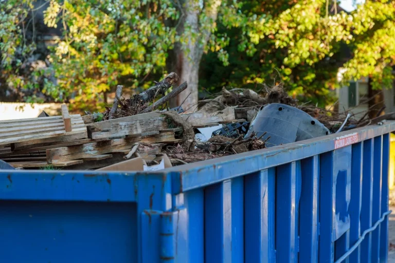 How to Use Your 20-Yard Dumpster Rental in Phoenix