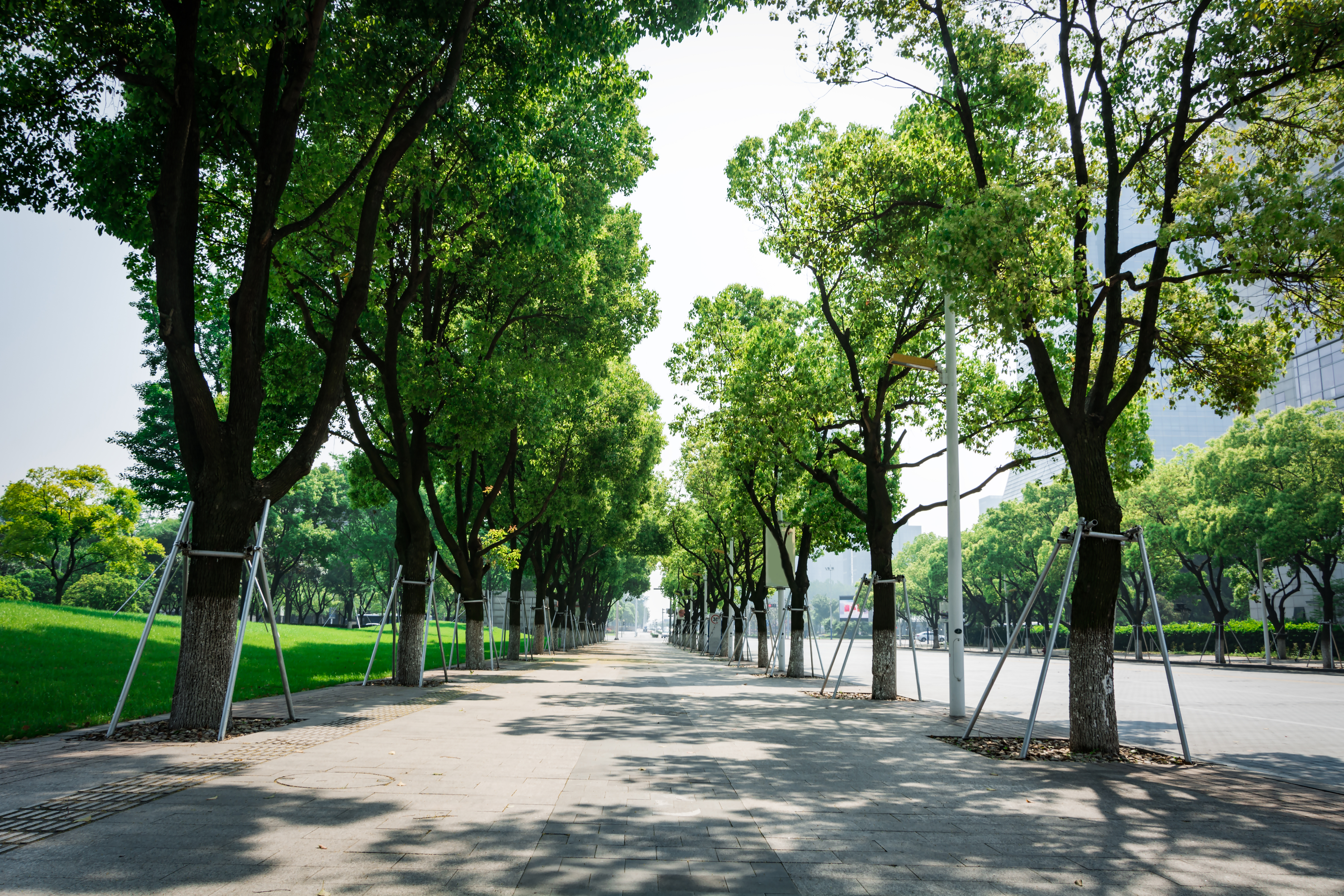 Top 100 Cleanest Streets in America